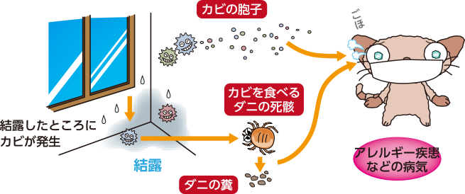 アレルギーの発生を抑制する効果